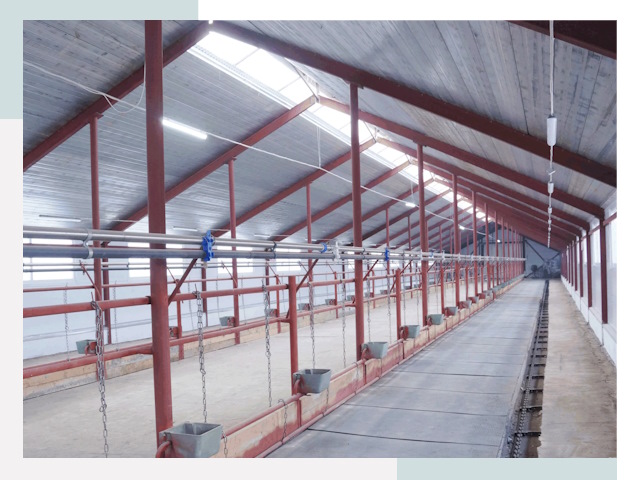 Строительство коровников в Сосновоборске от 621 руб.