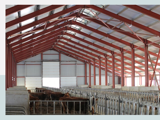 Строительство коровников в Сосновоборске