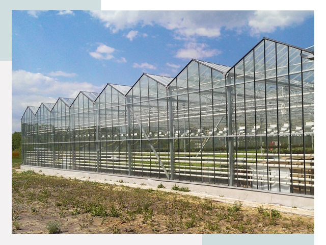 Строительство теплиц в Сосновоборск от 621 руб. за м²